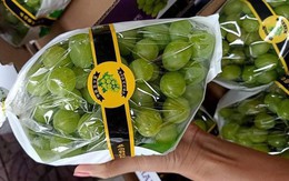Thực hư nho sữa Nhật Bản siêu đắt bất ngờ xuống giá thê thảm
