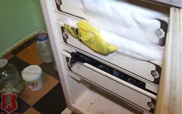 Kinh hãi con trai giết mẹ 83 tuổi rồi giấu xác trong ngăn đông tủ lạnh