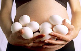 Bị ép ăn 9 quả trứng ngỗng khi mang bầu, nhưng trứng gà hay trứng ngỗng tốt hơn?