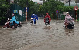 Gió giật mạnh, nhiều điểm ngập sâu, cây đổ tràn lan ở Hà Nội do ảnh hưởng mưa bão