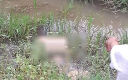 Hà Tĩnh: Người dân đi làm đồng tá hỏa phát hiện người đàn ông tử vong dưới ruộng lúa