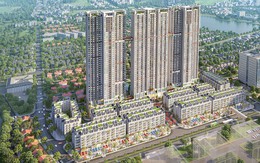 Tặng ngay 1 cây vàng SJC khi mua căn hộ The Terra - An Hưng trong tháng Ngâu