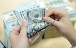 Tình huống lạ, giá USD 'đóng băng' tại hàng loạt ngân hàng