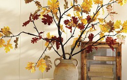 Không cần phải tốn tiền bạc hay công sức, với một chút sáng tạo là bạn có thể đem mùa thu đẹp dịu dàng vào nhà