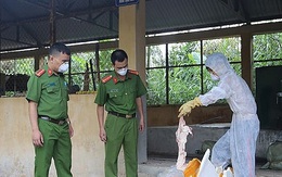Lạng Sơn: Bắt giữ 600kg nầm lợn bốc mùi hôi thối sắp tuồn ra thị trường