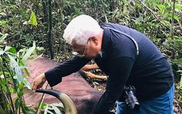 Bò tót 800 kg chết trong khu bảo tồn Đồng Nai