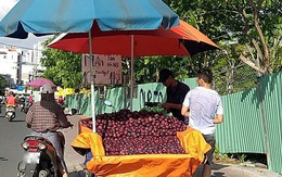 Mận tím 'khổng lồ' Trung Quốc bán đầy đường Sài Gòn