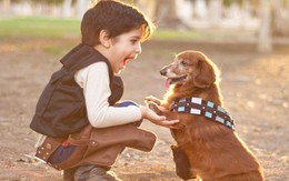 Cách nuôi dưỡng tình yêu động vật ở trẻ