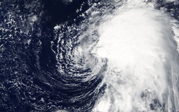 Biển Đông liên tiếp xuất hiện bão mạnh, dự báo sẽ có bão số 5 đổ bộ, khu vực nào ảnh hưởng nặng nhất?