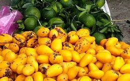 Số lượng rau quả Trung Quốc tràn về chợ đầu mối tăng đột biến