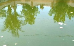 Bé trai ngã xuống ao tử vong khi chạy theo mẹ đi mua hàng