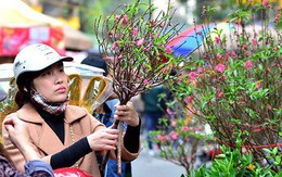 Vé máy bay, tàu hỏa Tết Canh Tý 2020 đã bắt đầu được mở bán