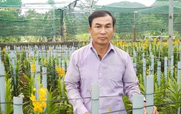 Vườn lan Mokara ở trên núi mang lại 30 triệu đồng/tháng cho anh nông dân Đà thành