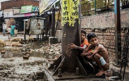 2 đứa trẻ bị đánh chết vì đi vệ sinh trên đường