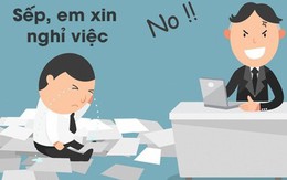 Những người hưởng lương trên 80 triệu đồng/tháng muốn nghỉ việc nhiều nhất