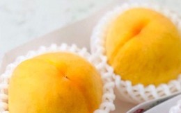 Gần 1 triệu đồng cặp đào tiên Nhật Bản ở Việt Nam