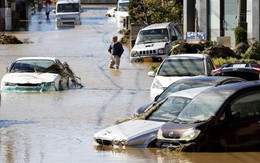 Giải cứu 9 người Việt mắc kẹt ở Fukushima trong siêu bão Hagibis