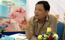 Không được xuất khẩu lợn sang Trung Quốc