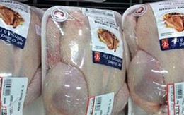 Gà Mỹ và Brazil về Việt Nam, giá chưa đến 20.000 đồng/kg