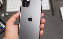 iPhone 11 giá giảm ‘kịch sàn’, nhiều cửa hàng ngừng kinh doanh