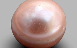 Vẻ đẹp của viên ngọc trai 8.000 năm tuổi