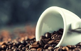 Uống cà phê làm giảm nguy cơ ung thư gan