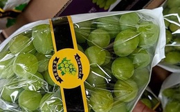 Bốn loại quả Tàu đội lốt hàng Tây, tin lời dân buôn ăn cú hớ nặng