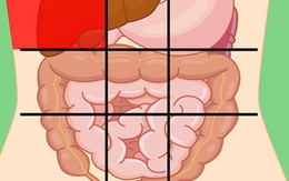 Nhận biết 5 kiểu đau bụng phổ biến: Nếu gặp kiểu số 1 thì phải nhờ bác sĩ can thiệp gấp