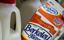 Vì sao người tiêu dùng phương Tây từ bỏ sữa bò