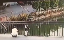 Lặng người với clip em bé rơi xuống hồ nước ngay trước mặt người lớn khiến nhiều phụ huynh sợ hãi