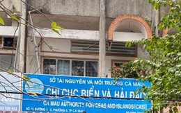 Buộc thôi việc nữ phó phòng đi du học xong không chịu về nước
