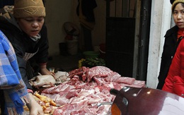 Giá thịt lợn cao, người dân rủ nhau mua gom lợn quê