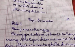 Cô giáo yêu cầu "tả chị gái của em", cô bé 6 tuổi đã có pha "bẻ lái" ngoạn mục khiến khổ chủ cũng cạn lời