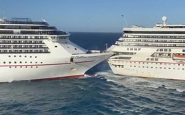 Hai du thuyền khổng lồ đâm nhau ở biển Caribê