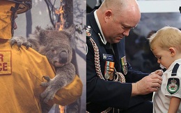 Hình ảnh xúc động không thể bỏ qua trong thảm họa cháy rừng ở Úc