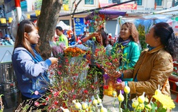 Từ ngày mai, cấm đường một loạt tuyến phố cổ để tổ chức chợ hoa Xuân 2020