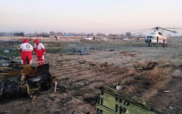 Thông tin sơ bộ về quốc tịch các nạn nhân vụ máy bay rơi ở Iran