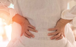 Đau thận hay đau lưng: Chuyên gia hướng dẫn cách phân biệt 2 bệnh này