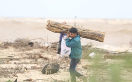Ảnh: Người dân đổ ra biển nhặt củi trong cơn lũ lịch sử ở Quảng Bình