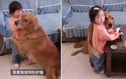 Chó vỗ về cô chủ bị mắng