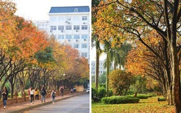 Ngôi trường Đại học đẹp nhất mùa đông Hà Nội: Background sống ảo lung linh như bối cảnh phim Hàn Quốc