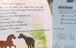 Sách Tiếng Việt lớp 1 bộ sách Cánh Diều bị điều chỉnh: Làm gì để không tái diễn “sạn” ở sách lớp 2 và lớp 6?