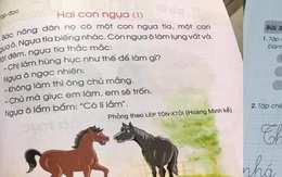 Những từ ngữ, bài học nào trong sách Tiếng Việt lớp 1 bộ sách Cánh Diều sẽ phải điều chỉnh và thay thế?