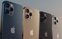 iPhone 12 chính hãng loạn giá, chênh lệch nhau gần 4 triệu đồng