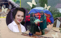 Thái Thùy Linh khuyên các đoàn cứu trợ không nên đem gạo vào miền Trung lúc này