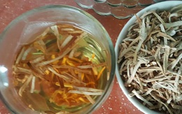 Đặc sản lạ Sóc Trăng: Loại trà không làm từ cây chè, giá 1 triệu/kg