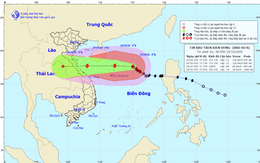 Thông tin mới nhất về bão số 8 đang giật cấp 15 trên biển Đông
