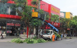 Xót thương người đàn ông nghèo giúp dân đốn cây chống bão số 8, té ngã nhập viện