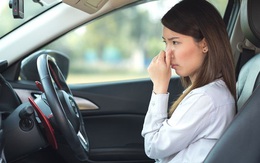 Dùng nước hoa trong ô tô để khử mùi nhất định bạn phải biết điều này