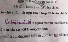 Hỏi người mẹ thứ hai của em là ai, học sinh lớp 1 có đáp án đi vào lòng người